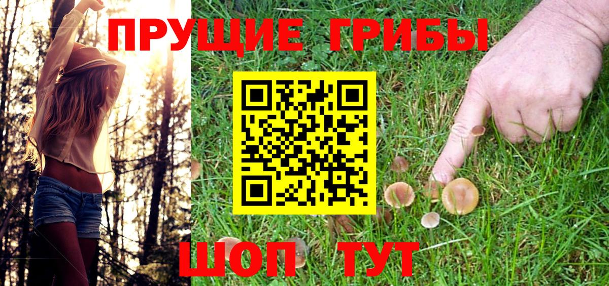 Кириши  Псилоцибиновые грибы Magic Shrooms  Галлюциногенные грибы GOLDEN TEACHER  Вход с VPN 